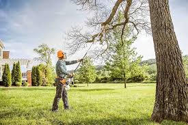 Best Tree Mulching  in Rock Island, IL